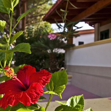 Green Park Village Vieste Ngoại thất bức ảnh