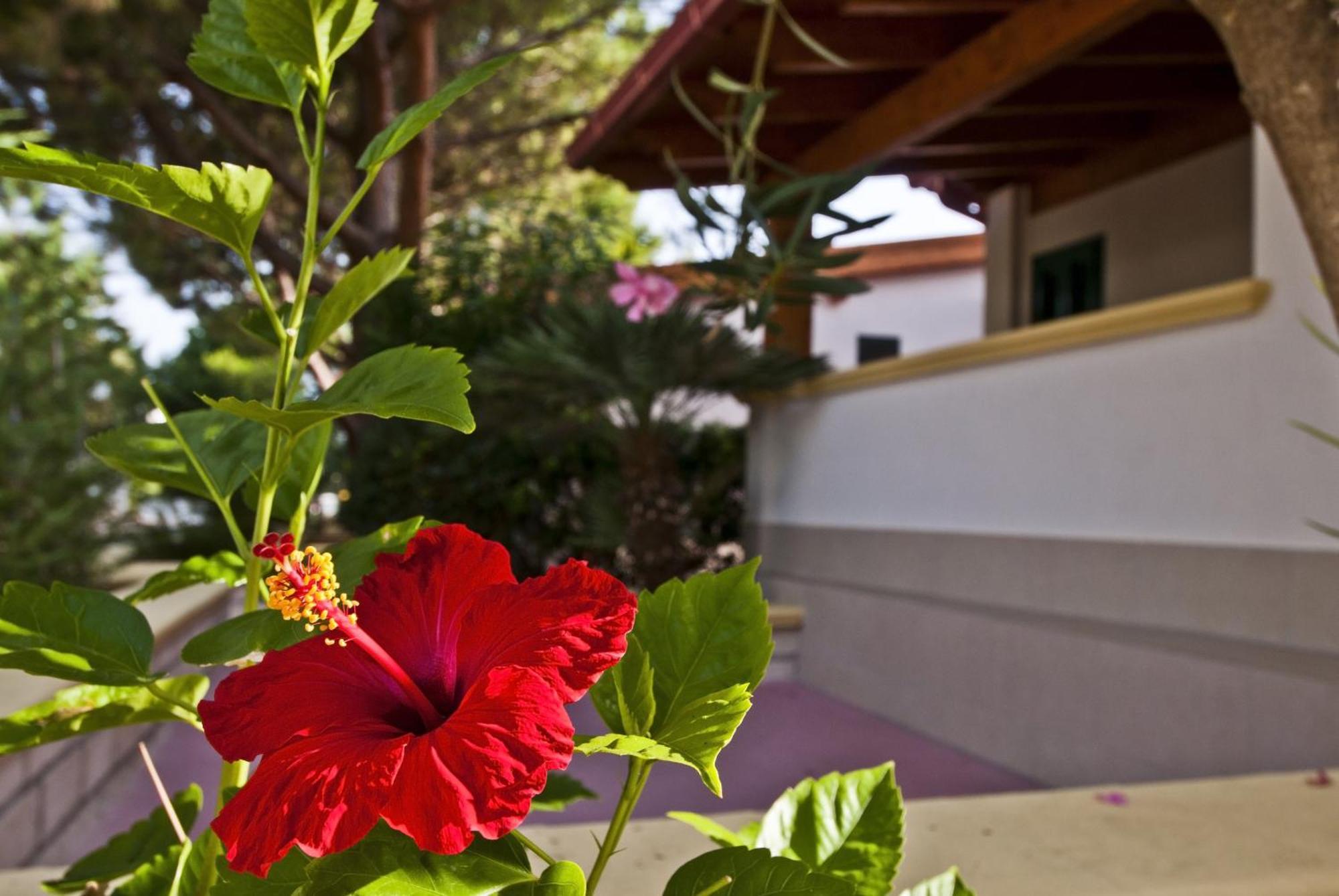Green Park Village Vieste Ngoại thất bức ảnh